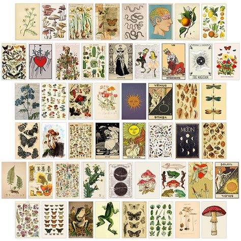 Buy Wall Collage Kit Aesthetic Pictures Vintage Photo Collage Kit For