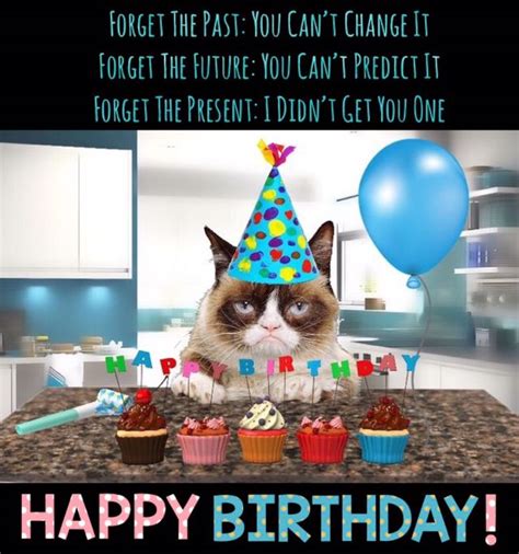 Grumpy Cat Birthday Grumpy Cat Birthday Happy Birthday Quotes Funny