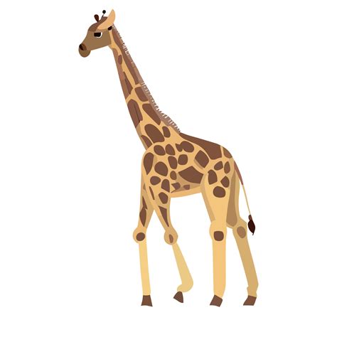 Girafa ícone Clipart Transparente Fundo 24043973 Png