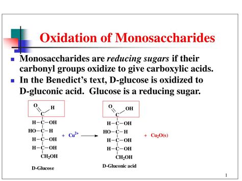 Ppt Oxidation Of Monosaccharides Powerpoint Presentation Free