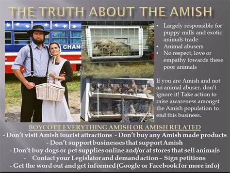 The amish are not the quiet, innocent people that documentaries depict them as. Dog farming is a large part of the... - Puppy Mill ...