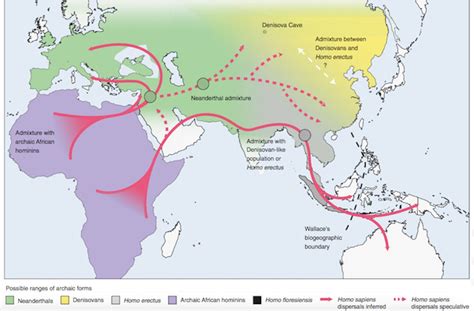 Ancient Human Migration Map