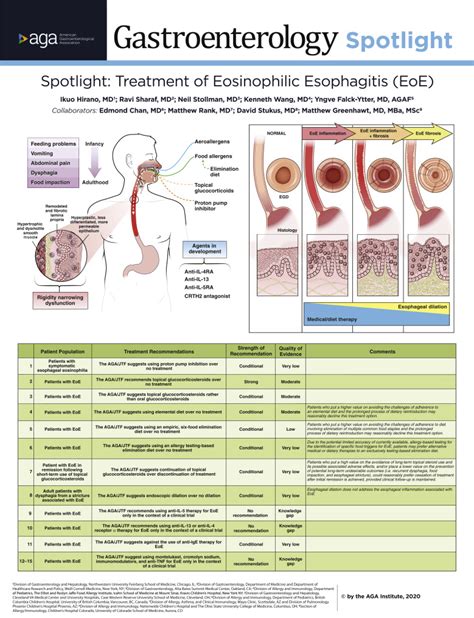 Spotlight Treatment Of Eosinophilic Esophagitis Eoe Gastroenterology
