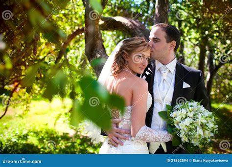 Wedding Photography Stock Photo Image Of Lovers Handsome 21862594