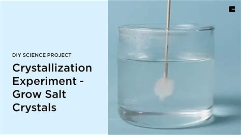 Crystallization Experiment Grow Salt Crystals Diy Science Project