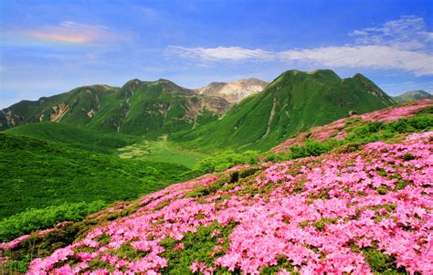Hiking Destinations For Flowering Mountains Hikes In Japan