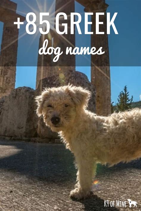 Unique Female Dog Names Greek Cool Guy Names