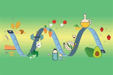 Белковая диета пропорции бжу Как нужно питаться для роста мышц — калорийность и пропорции БЖУ Как нужно питаться для роста мышц — калорийность и пропорции БЖУ Белковая диета пропорции бжу