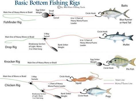 Essential Bottom Fishing Rigs A Comprehensive Guide On