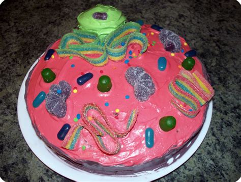 How To Make An Animal Cell Cake Delishably
