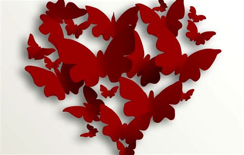 Butterfly Heart Valentines Day Wallpaper Like Wallpapers