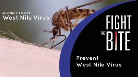 Preventing The Dispersion Of West Nile Virus And Mosquito Bites • Utah