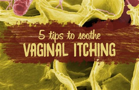 Vaginal Itching Before During After Period Effective Solutions