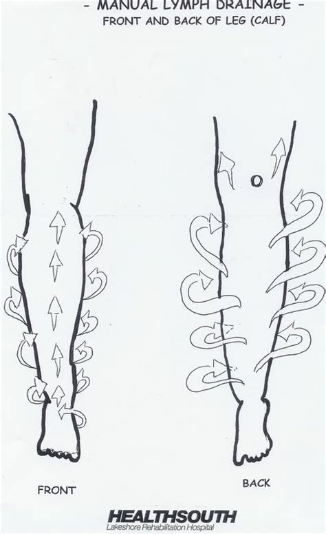 Manual Lymph Drainage Leg Illustrated Patterns Artofit