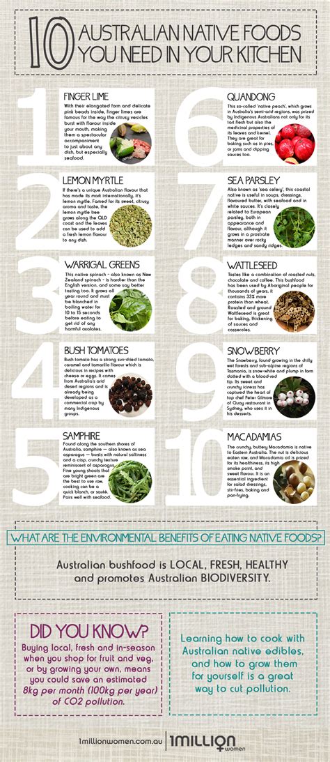 Infographic Top 10 Native Australian Foods You Need In Your Kitchen