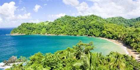 Top 8 Best Beaches In Tobago Trinidad And Tobago Travel Guide