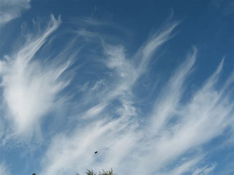 Free Images Blue Sky Wispy Clouds Cloud Daytime Atmosphere