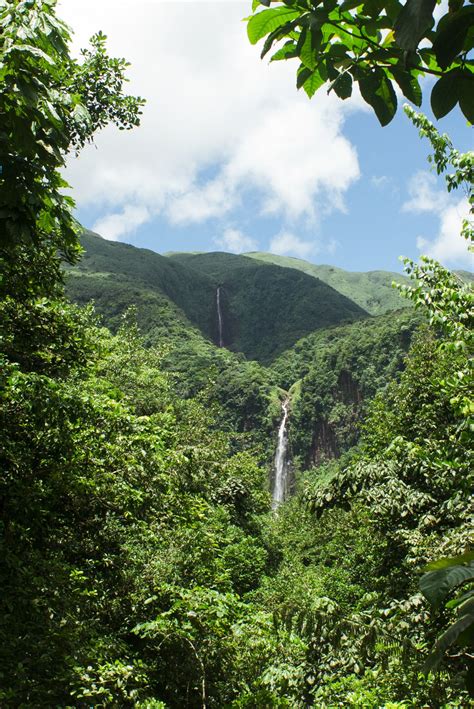 Satakentia Les Chutes Du Carbet Parc National De La Guadeloupe By