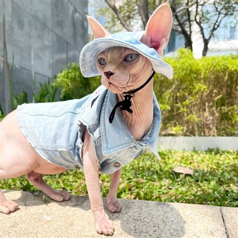 Sphynx Cat Bucket Hat With Ear Holes Summer Hairless Cat Topee Cat