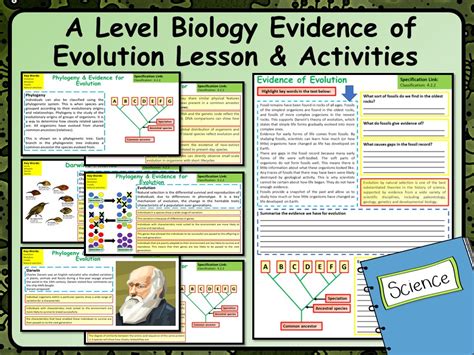 A Level Biology Evidence For Evolution Lesson Teaching Resources
