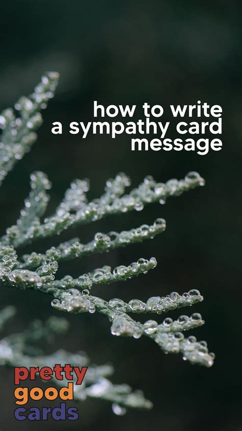 How To Write A Sympathy Card Message Pretty Good Cards