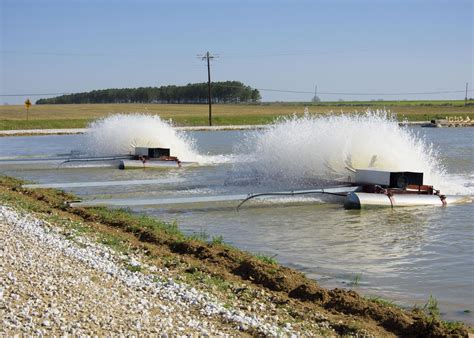 Smaller Catfish Ponds Intensify Production Mississippi State