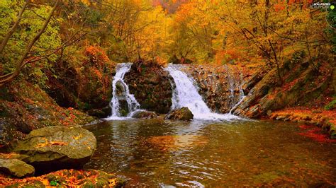Trees River Rocks Autumn Viewes Waterfall For Phone Wallpapers