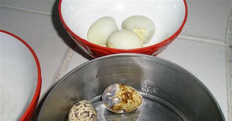 Health Freak Mommy Quail Eggs