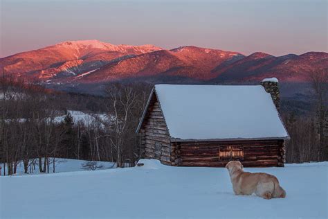 Golden Winter Sunset Cabin Photograph By Chris Whiton