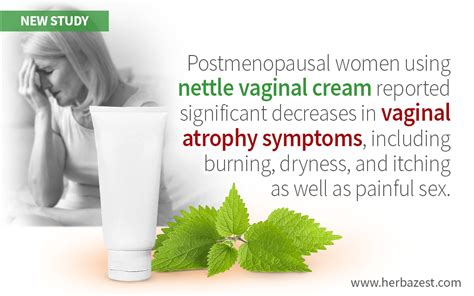 Nettle Can Help Relieve Vaginal Atrophy Symptoms After Menopause