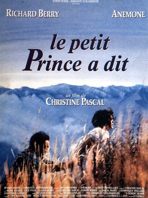 Cette série dramatique de colin kaepernick et d'ava duvernay raconte le secondaire de kaepernick et les expériences qui l'ont conduit à devenir un militant. Le petit prince a dit - film 1992 - AlloCiné