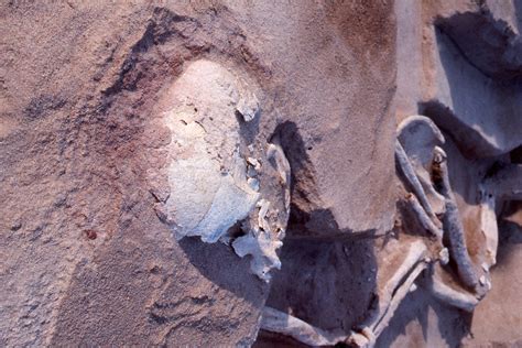 42000 Years Old Mungo Man ѕkeɩetoп The Oldest Human Remains Found In