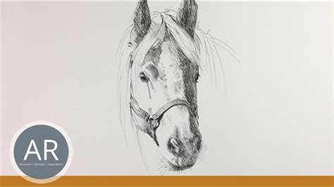 Pferde Zeichnen Lernen Für Anfänger Zeichnen Ideen Pferdezeichnungen Tierzeichnung Pferde