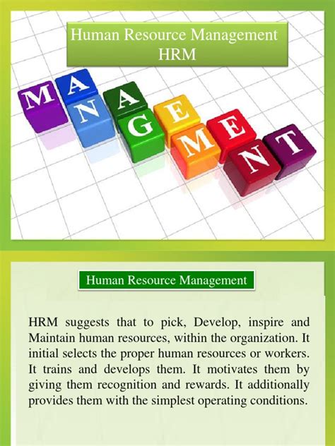Human Resource Management Training Human Resource Management Human