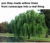Yoo They Made Willow Trees From Runescape Into A Real Thing Buying Gf Shirt Teespringcomtshirt