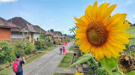 Penglipuran Traditional Village Bali Rental Car