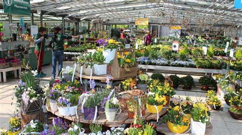 Gartencenter rosenheim wir leben garten. Garten-Center Rosenheim: Frische Pflanzen aus der Region ...