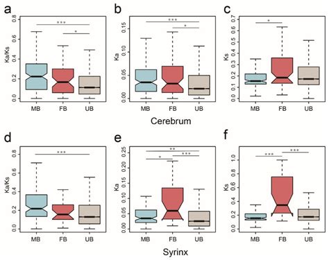 The Rates Of Divergence Of Sex Biased Genes And Unbiased Genes In