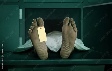 Plakat Male Human Body Lying Dead At Morgue Capsule With Blank