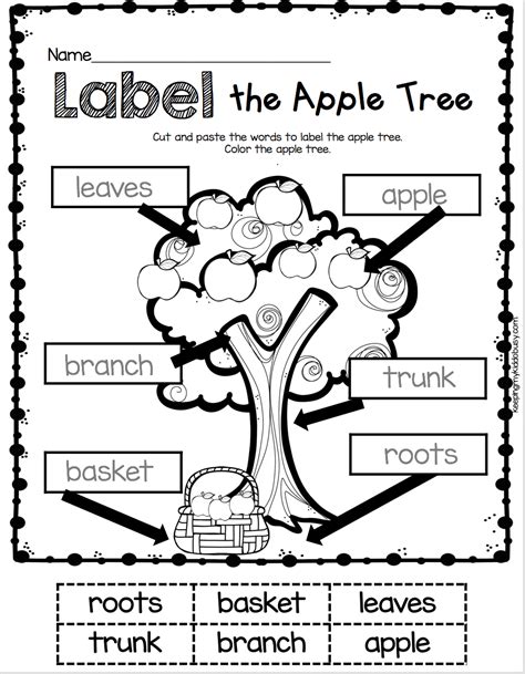 Labeling Sets Worksheet For Kindergarten