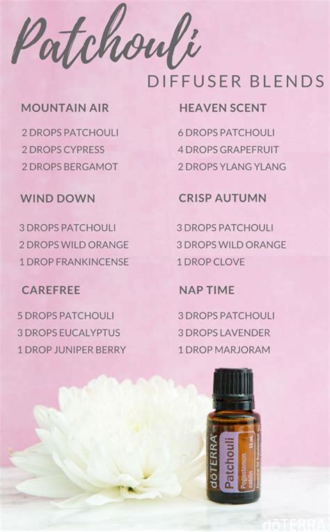 Patchouli Diffuser Blends Essential Oils Aromatherapy Essential Oil
