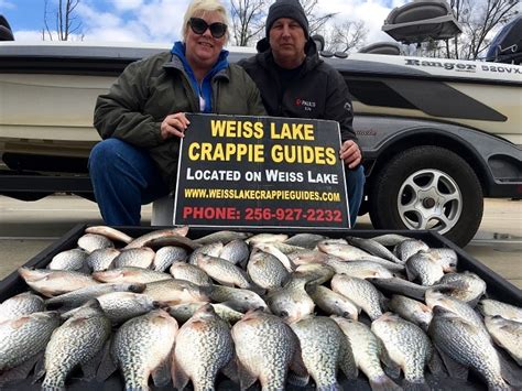 1,000 tagged crappie valued at over $109,350. Page 3/3 - Weiss Lake Crappie Guides 2016 Photo Gallery ...