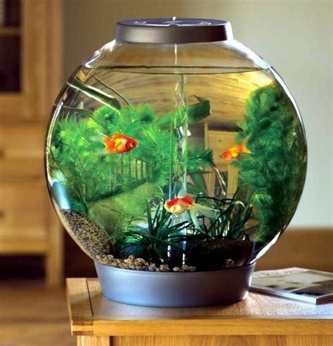 35 model aquarium ikan hias air tawar minimalis 2021. Harga Aquarium Mini, Kaca Bulat, Minimalis Dan Berbagai Model