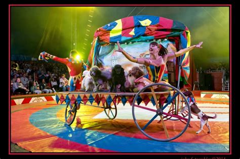 Travel Circus In Florida Circus Performers For Hire In Orlando