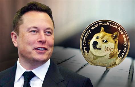 Elon musk trying to explain dogecoin on snl. Elon Musk Destroys Bitcoin; Crypto Tanks 15% as Tesla ...