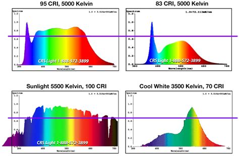 The Original Color Correct Light Full Spectrum Fluorescent Light Bulbs