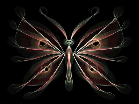 Fantasy Butterfly Iii Digital Art By Lorraine Stanton Fine Art America