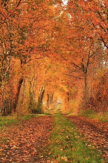 Autumn Nature Landscape Gone Is Free Photo On Pixabay