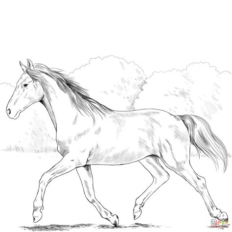 Realistic Printable Horse Coloring Pages