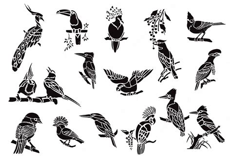 Premium Vector Exotic Bird Vectors On Branches Pack Silhouettes